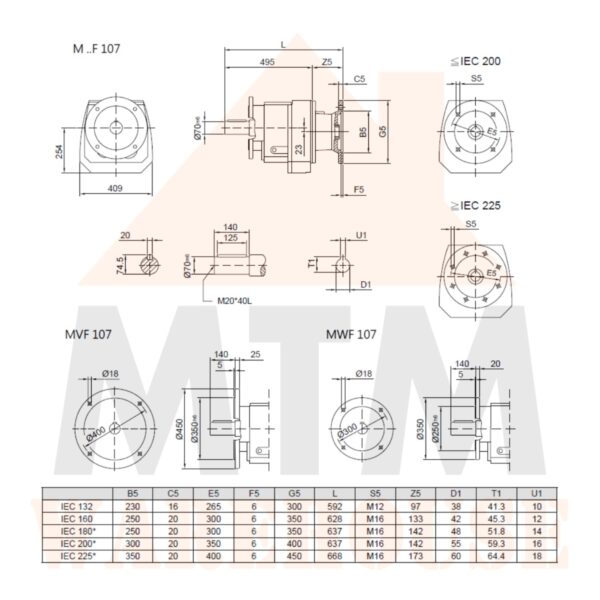 Helical Inline Gearbox Reducer D180L Type MVF107, many ratio - Image 6